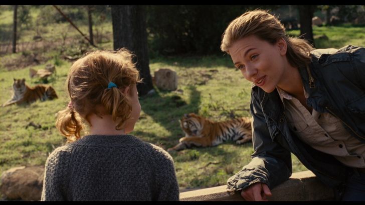 Фильмы на семейный вечер