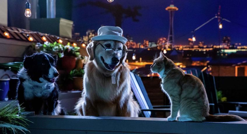 Фильмы про собак