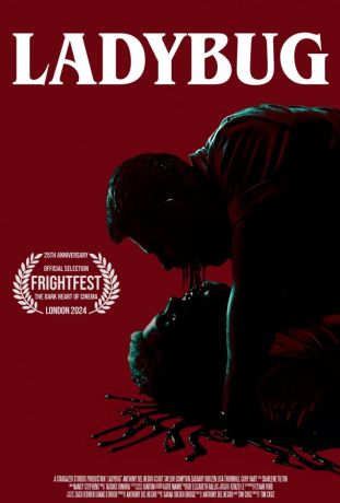 Божья коровка (2024)