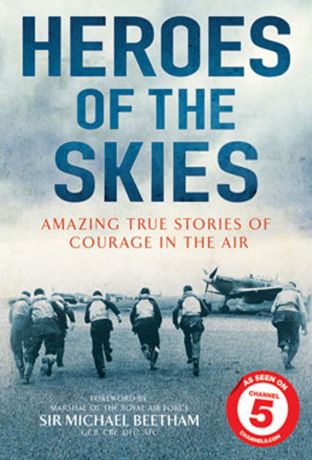 Воздушные асы войны (2013)