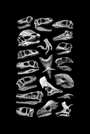 Флауэрвейл-стрит (2026)