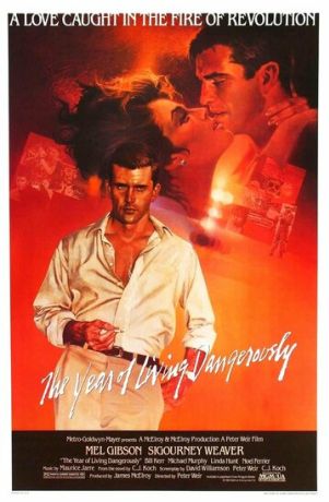 Год, опасный для жизни (1982)